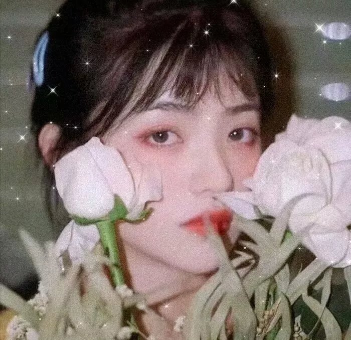 你的太阳